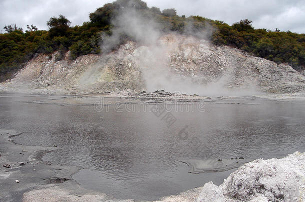 沸水、蒸汽和硫磺气，新西兰