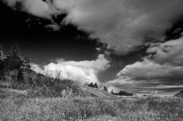 云与自然的黑白画面