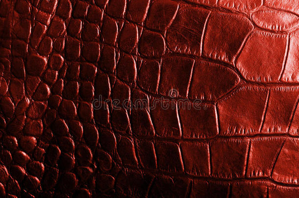 红色鳄鱼纹皮革