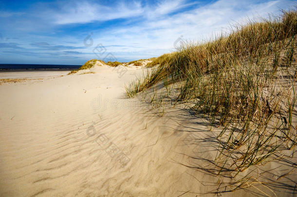 荷兰阿梅兰的沙丘、海滩和海岸