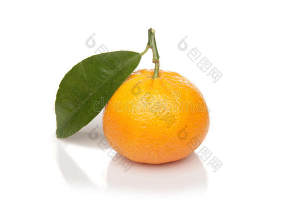 橘子，橘子，橘子