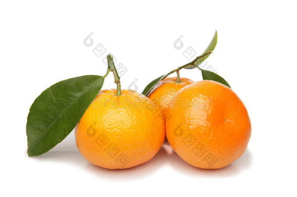 橘子，橘子，橘子