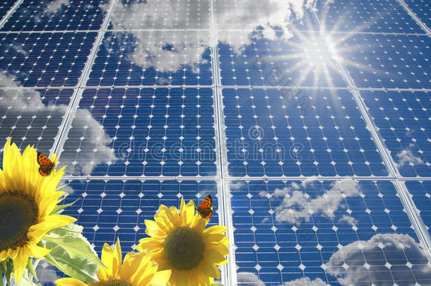 太阳能电池板和向日葵。