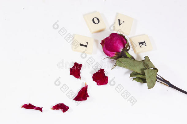干红粉红玫瑰与爱情文字