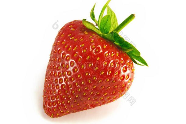 草莓味，<strong>单人间</strong>。