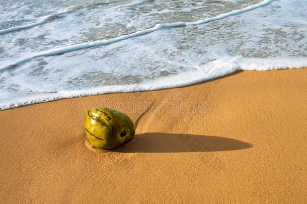 热带海滩上的椰子