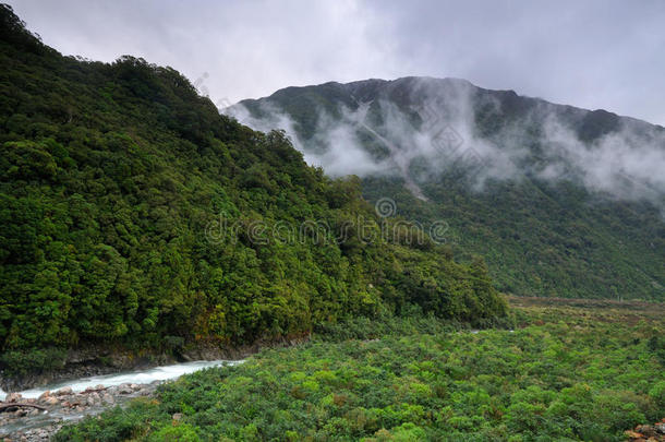 奥提拉山<strong>谷雨</strong>林，亚瑟山口np