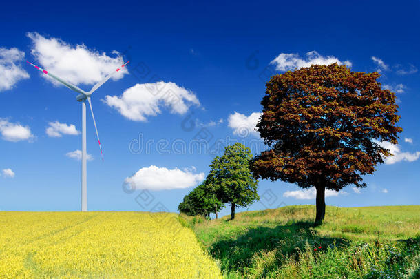 带<strong>风电</strong>场和风力涡轮机的景观