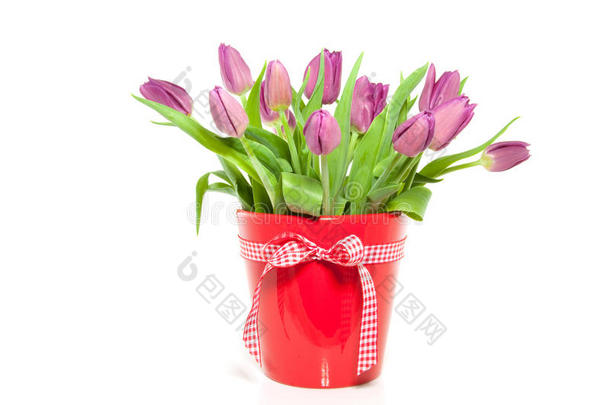 红色花瓶里的紫色郁金香