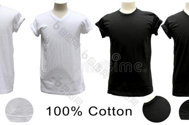 t恤100%纯棉白色黑色圆形v