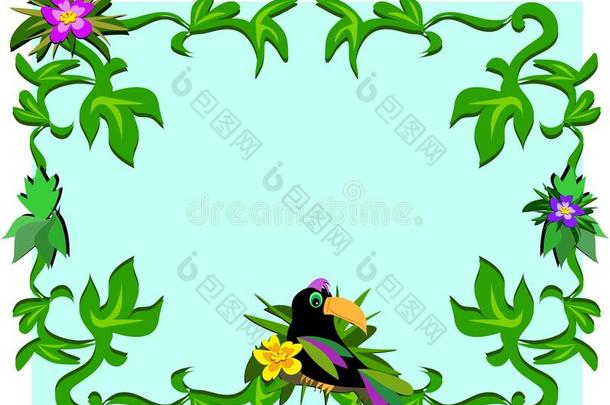 巨嘴鸟、植物和芙蓉的框架