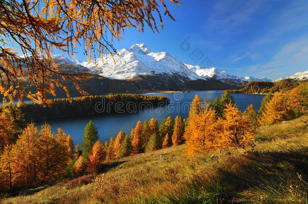 瑞士阿尔卑斯山的美丽风景