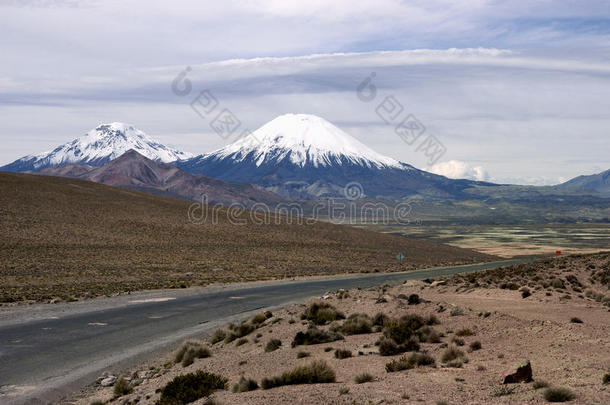 火山和帕里纳科塔蜜柚