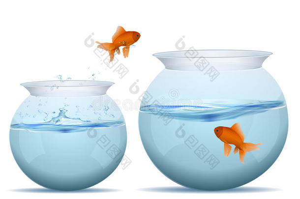 鱼儿从一个鱼缸跳到另一个鱼缸