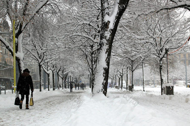 瑞士日内瓦，普兰帕莱广场（plainpalais place by winter）