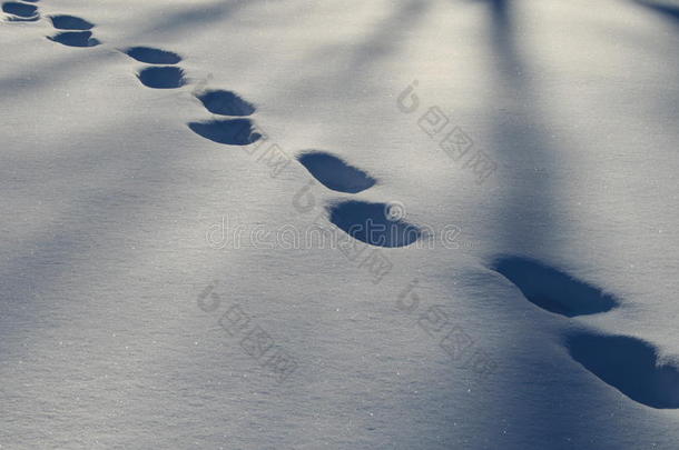 雪地里的脚步声