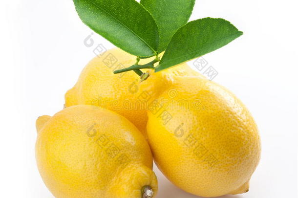 <strong>高品质</strong>的白色照片上的成熟柠檬