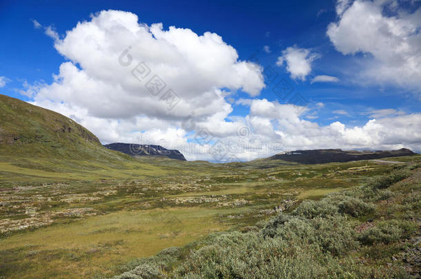 挪威风景自然背景绿色乡村山地挪威乡村旅游环境夏日蓝天