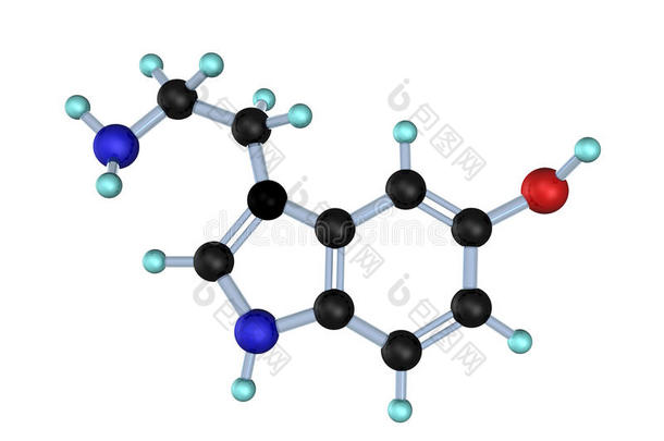 分子血清素