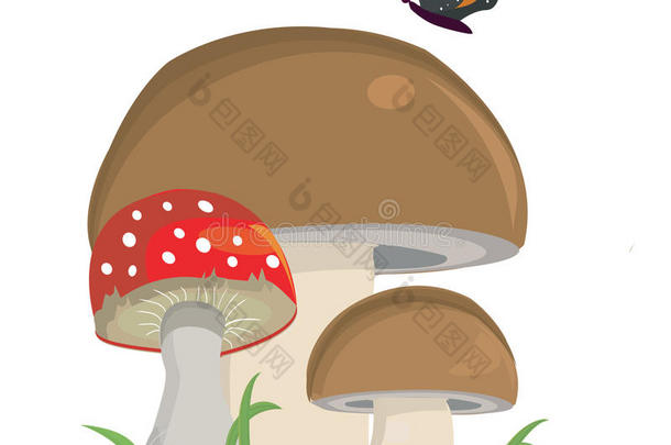 蝴蝶蘑菇