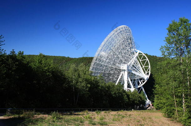 树林里的巨型射电望远镜