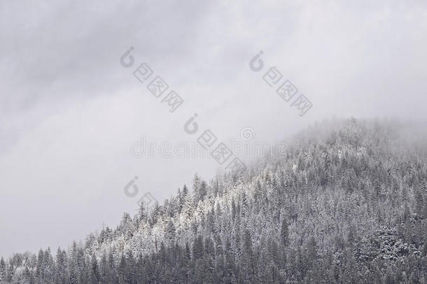 约塞米蒂山谷的<strong>晚春</strong>暴风雪。