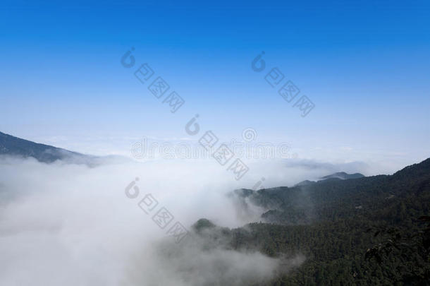 雾笼罩着山谷