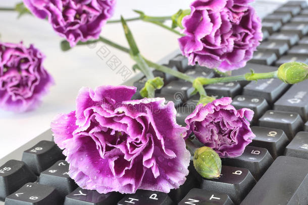键盘上的花