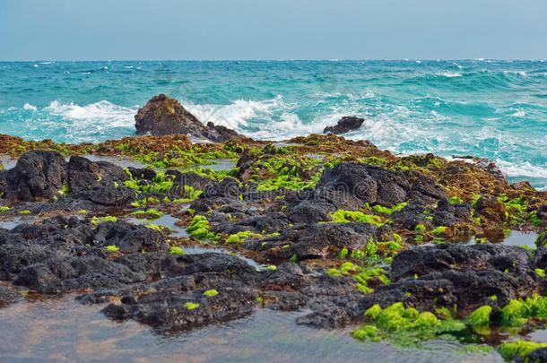<strong>夏</strong>威夷群岛毛伊岛海岸熔岩岩
