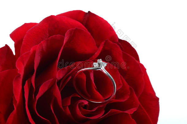 红玫瑰和一<strong>枚</strong>女戒指