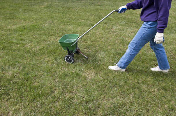 肥草草坪养护与家庭养护