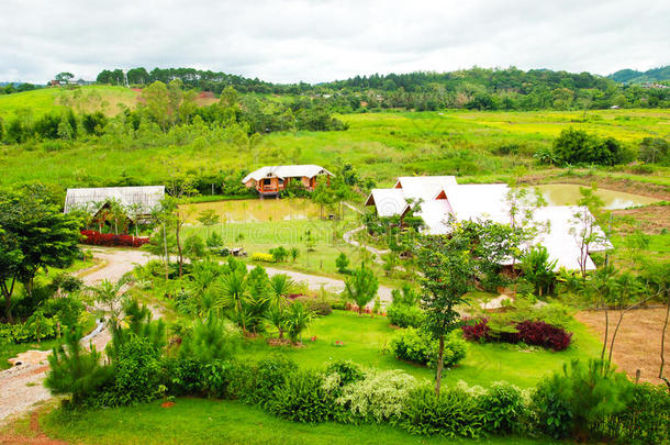 泰国的乡村和绿草