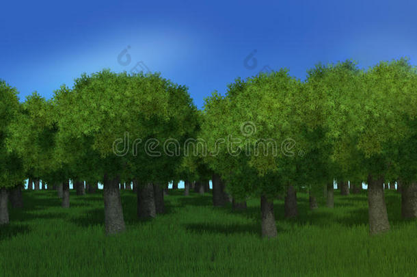 三维森林树木