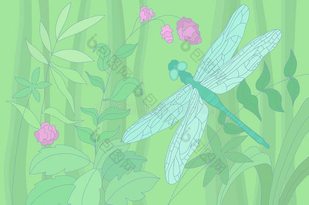 夏日蜻蜓插画