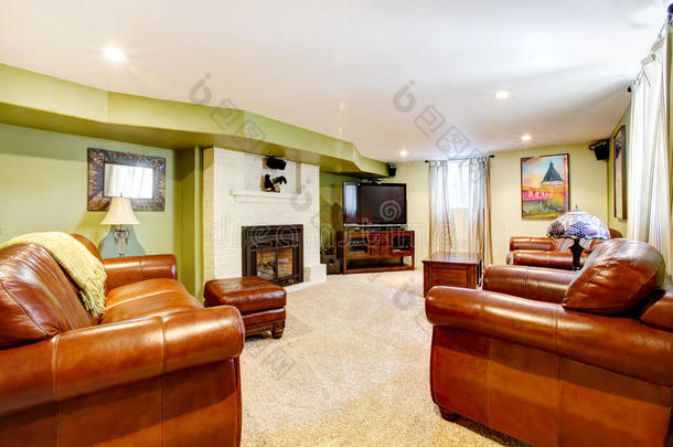 电视室，绿色墙壁，真皮沙发