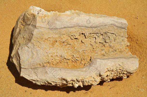 澳大利亚西部沙漠上的化石