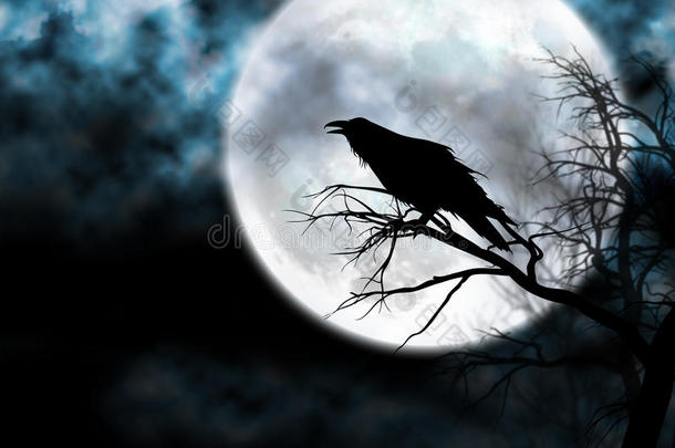 夜空中的乌鸦