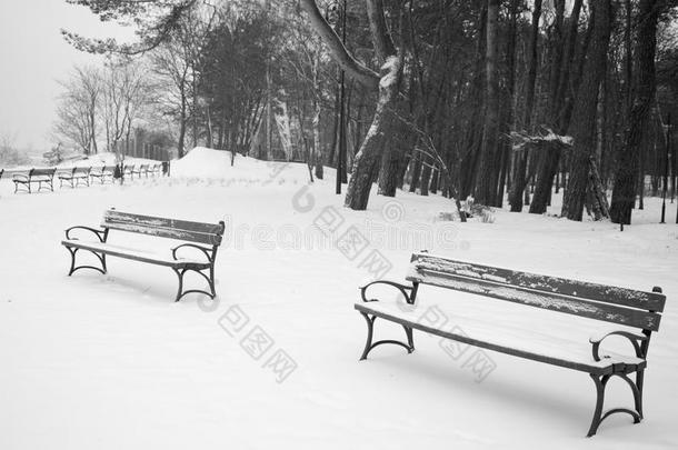 <strong>冬季</strong>风景中的长椅。
