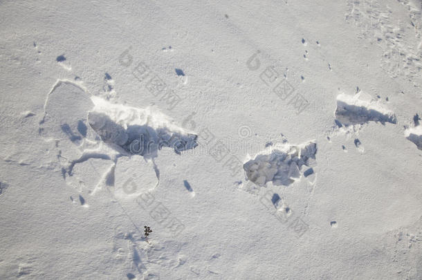雪中的痕迹
