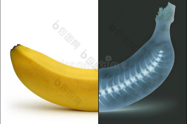 x光香蕉