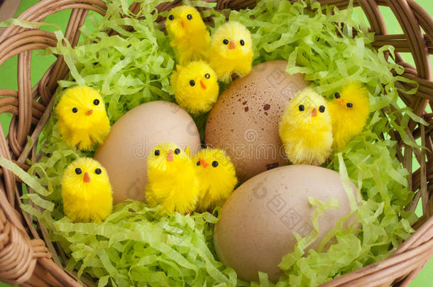 复活节篮子黄色小鸡斑点蛋