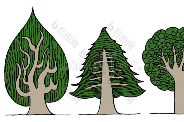 手绘树木插图
