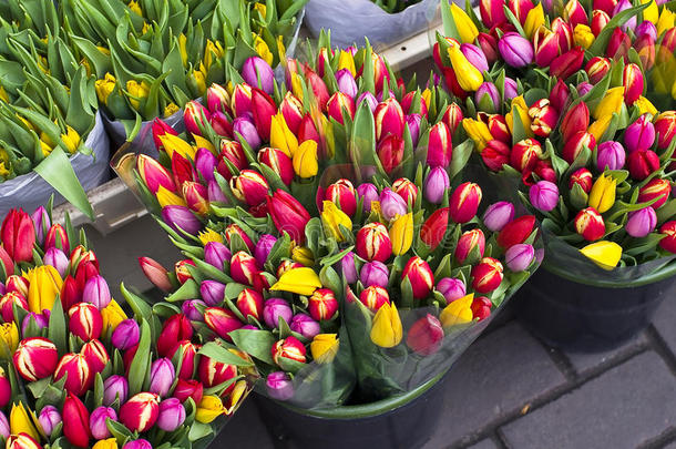 阿姆斯特丹花卉市场的郁金香。