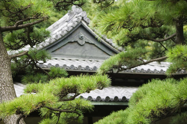 日本东京东京东京皇宫御门屋顶（东门）透过树木
