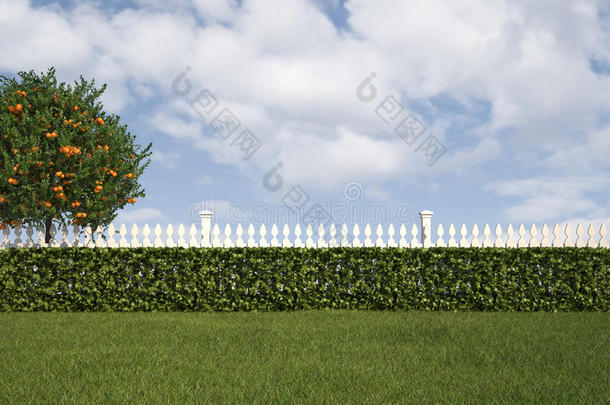 有篱笆和篱笆的花园