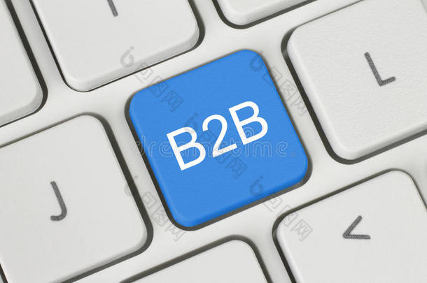 蓝色b2b（企业对企业）按钮