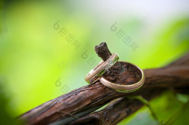 葡萄枝上的两枚结婚戒指