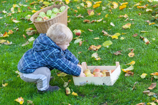 小男孩提着装满苹果的篮子