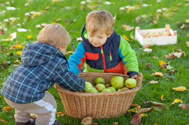 两个带苹果篮的小男孩
