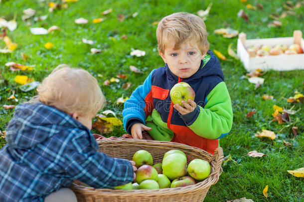 两个带苹果篮的小男孩